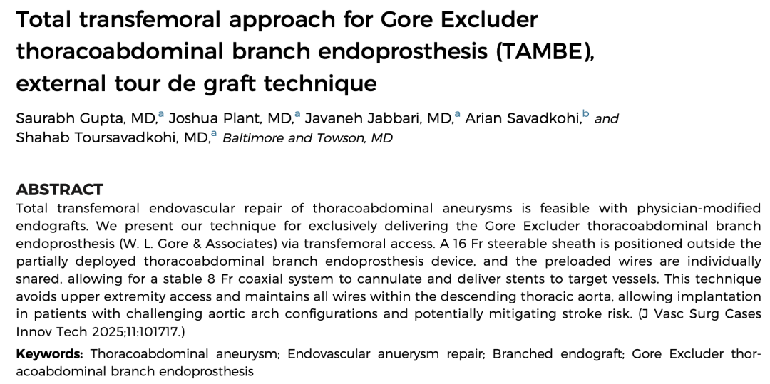 gore医疗怎么样TAMBE重塑复杂主动脉瘤治疗格局的技术解析_https://www.jmylbn.com_新闻资讯_第23张