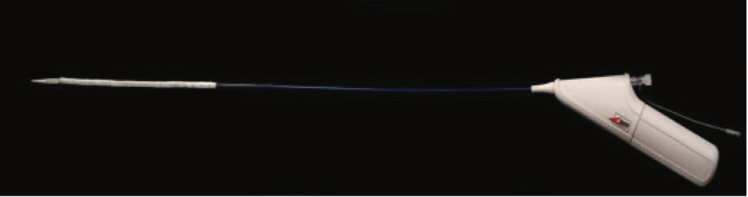 gore医疗怎么样TAMBE重塑复杂主动脉瘤治疗格局的技术解析_https://www.jmylbn.com_新闻资讯_第18张