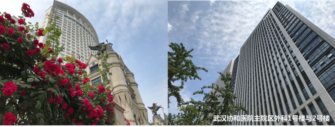 子宫支架是什么髂静脉支架能否耐受妊娠子宫？_https://www.jmylbn.com_新闻资讯_第22张