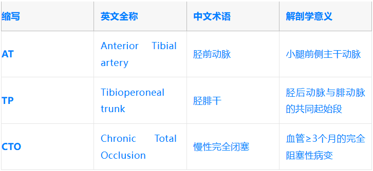 什么是外周支架雁过留声, 但它什么也没留下-外周可回收支架系统_https://www.jmylbn.com_新闻资讯_第6张