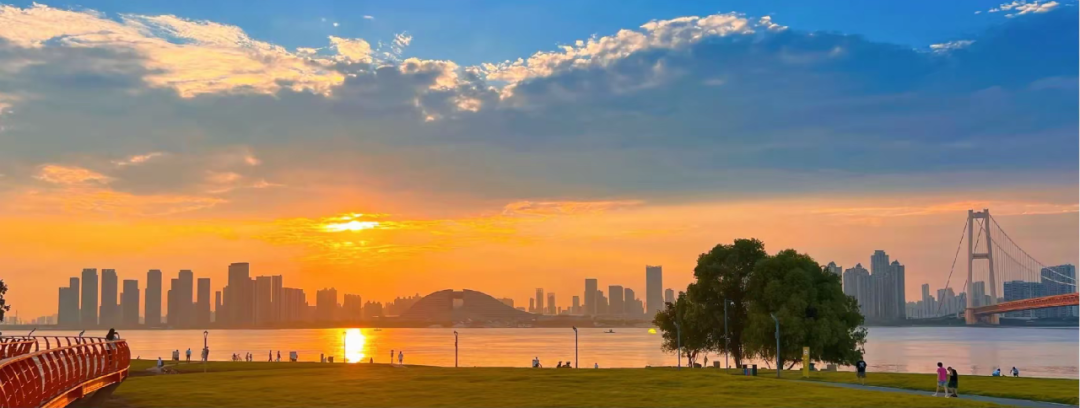 pta在医学上什么意思足背动脉旁路术：从技术革新到精准医疗_https://www.jmylbn.com_新闻资讯_第2张