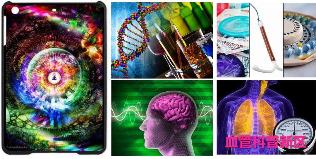 子宫支架是什么髂静脉支架能否耐受妊娠子宫？_https://www.jmylbn.com_新闻资讯_第17张