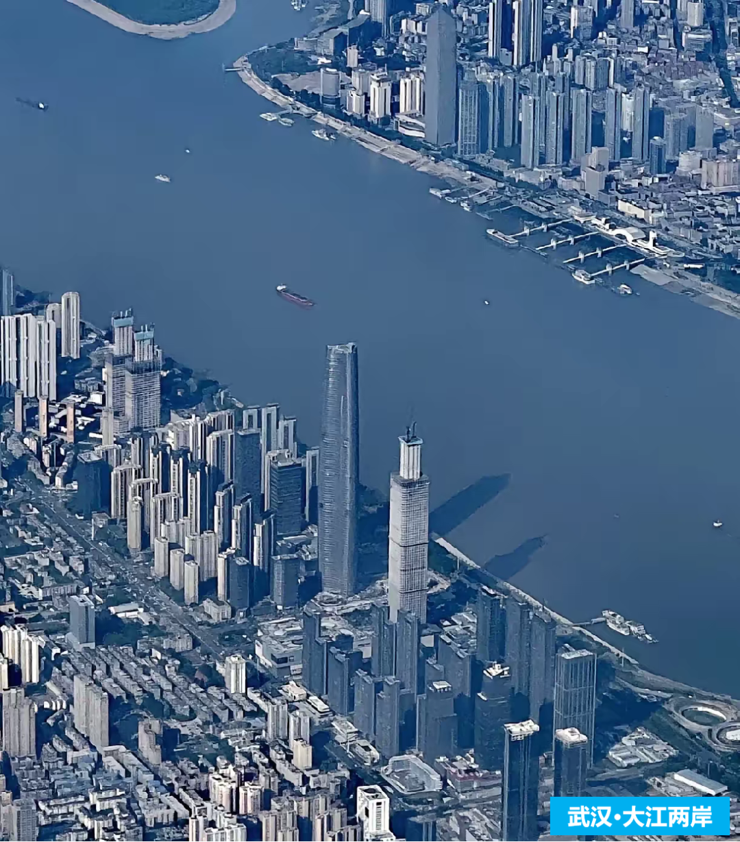 下肢器械盒怎么打包跨国企业视角下的中国医改： 集采的影响与战略应对_https://www.jmylbn.com_新闻资讯_第2张