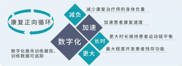 悬吊训练系统 怎么装2022【新品发布】颠覆性技术革新BSET生物反馈悬吊康复评估训练系统_https://www.jmylbn.com_新闻资讯_第4张