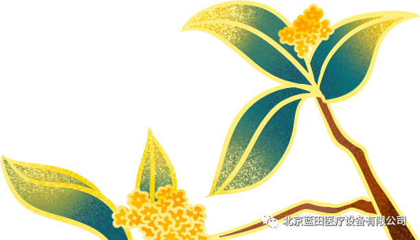 体外短波电容为什么要做短波治疗应用干货！康复科必读！_https://www.jmylbn.com_新闻资讯_第20张