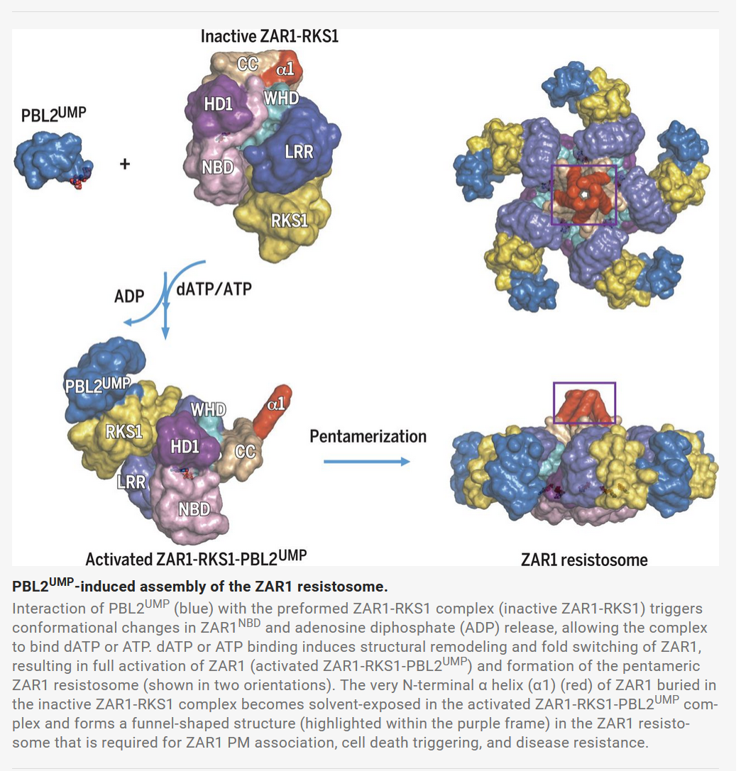 我们可以从西湖大学柴继杰教授的cns中学到什么
