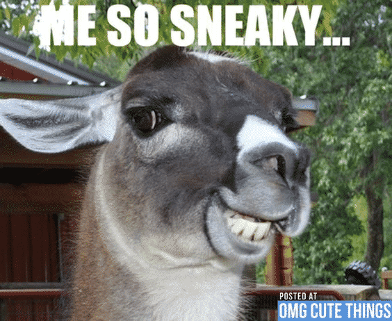 GG扑克官方下载