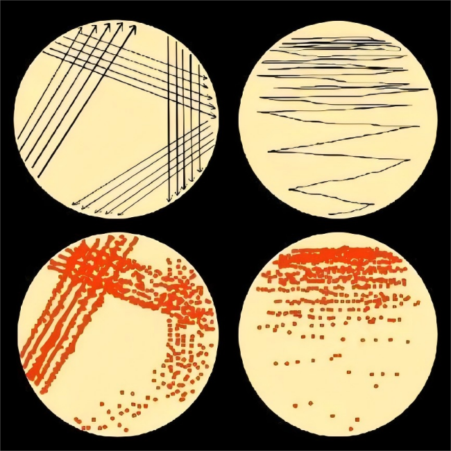 连续划线与分区划线法