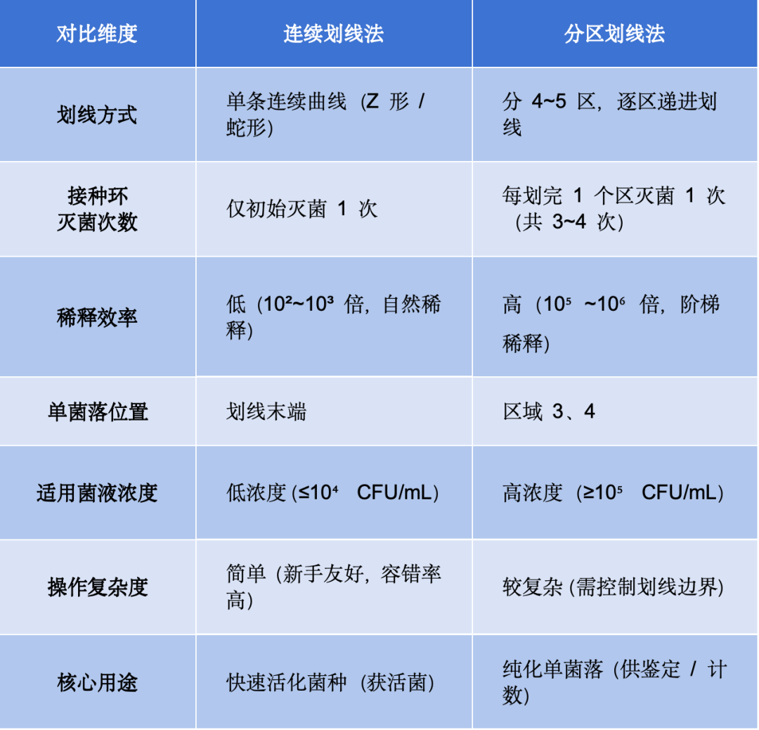 连续划线与分区划线核心差异对比