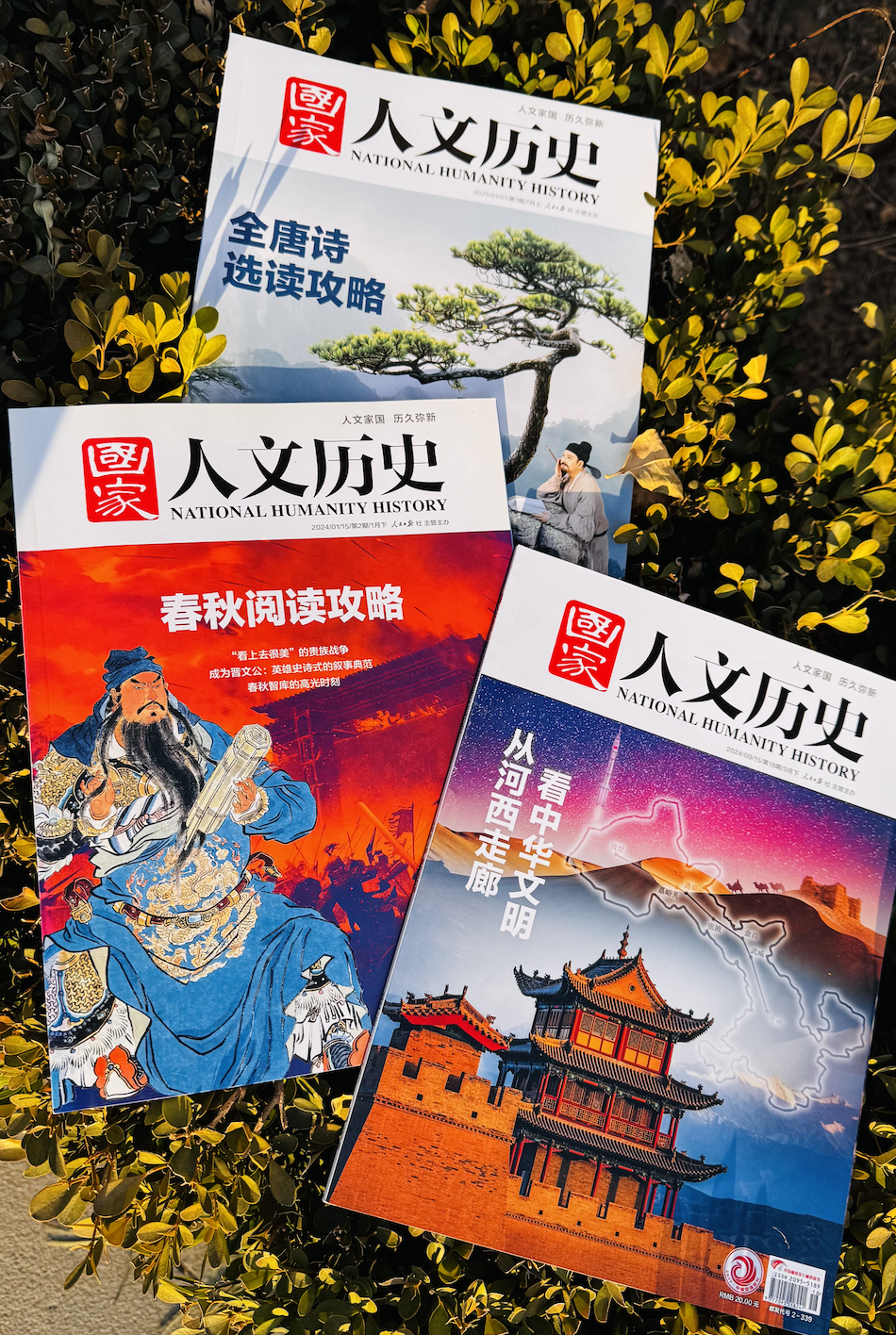 图片