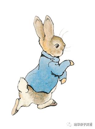 有一些經典永不褪色 彼得兔系列故事23冊未刪減版 原版禮盒裝 值得收藏 曉華親子英語 微文庫