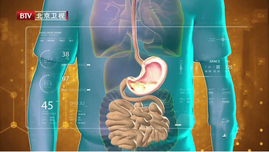 消化道器官中的平滑肌也是肌肉组织之一,它的老化会直接影响肠胃道的