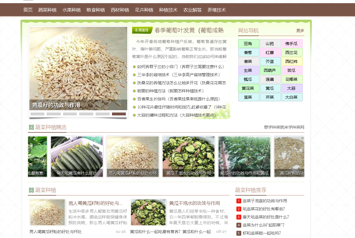 学种菜网-在家种菜不求人，一个种菜百科全书：从阳台到院子的一站式种植指南