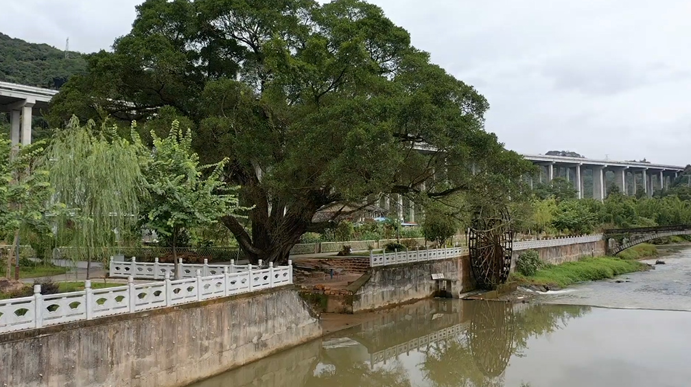 党委书记系列访谈司前镇融入双区和环车建设推进司前经济社会加快发展