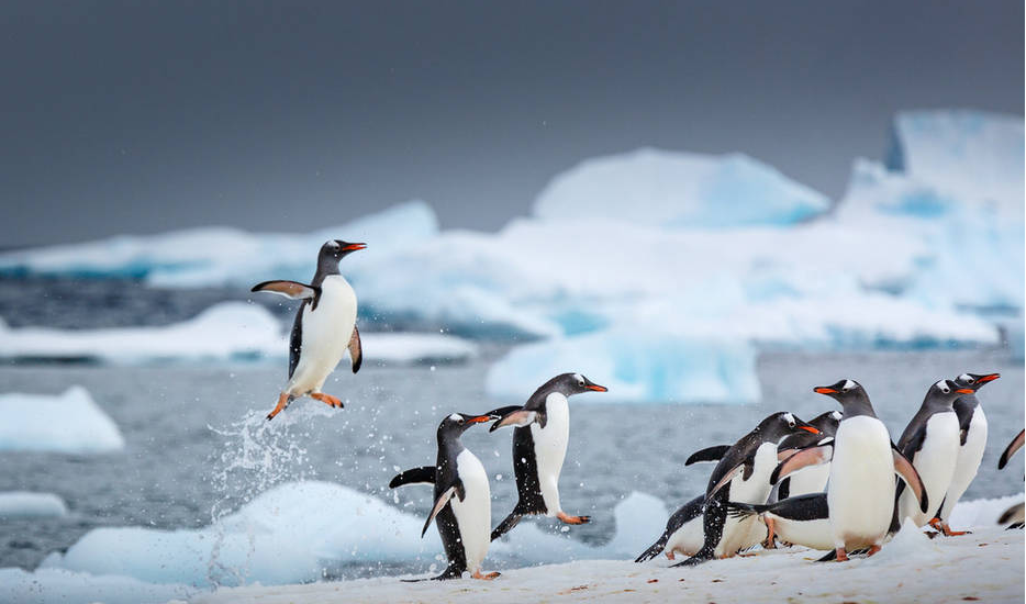 巴西气候分布_巴西气候分布特点_巴西气候类型分布图