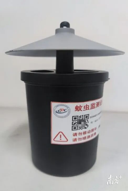 1  南方+ 许舒智 拍摄