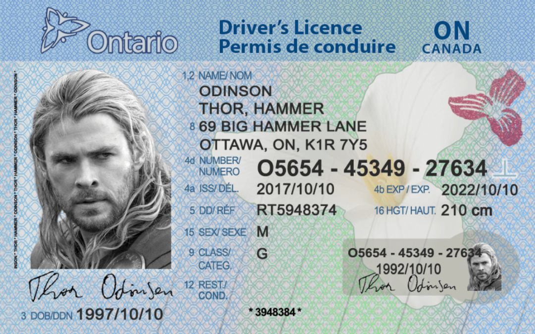 S id. Водительские права Канада. Канадские права водительские. Driver License Canada. Канадское водительское удостоверение.