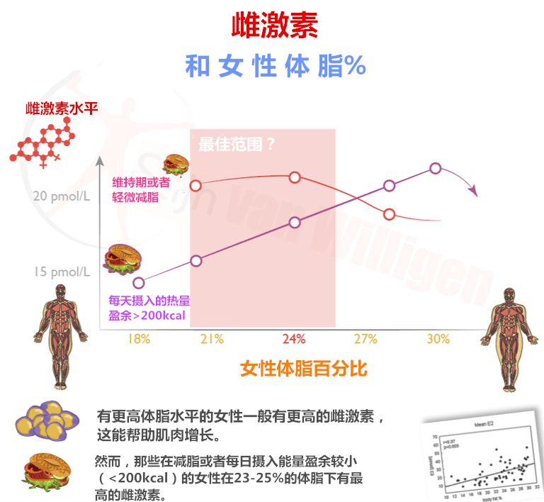 增肌期的最理想体脂百分比 健身教练ason 微信公众号文章阅读 Wemp