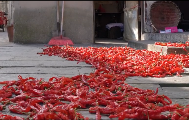 ��˳����ҹ���ġ�ͷ�ơ������Ӽ�