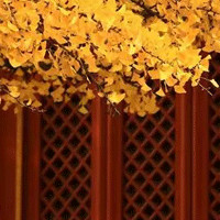 优秀的员工都跟老板发生过关系