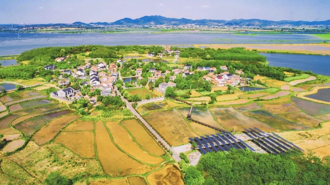 万秀村又双叒叕被表扬了_云上鄂州