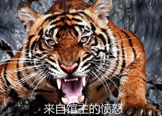值日星宿关系是什么意思_值日星宿关系911老黄历_911值日星宿关系