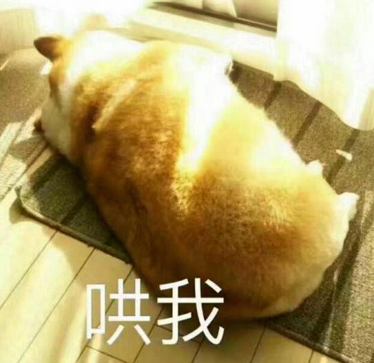 911值日星宿关系_值日星宿关系911老黄历_值日星宿关系是什么意思