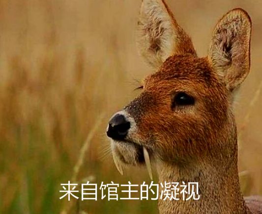 值日星宿关系是什么意思_911值日星宿关系_值日星宿关系911老黄历