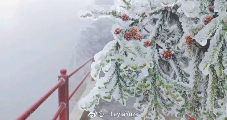 雪，凝固了冬日最美的時光 | 微言夜讀·經典 戲劇 第10張