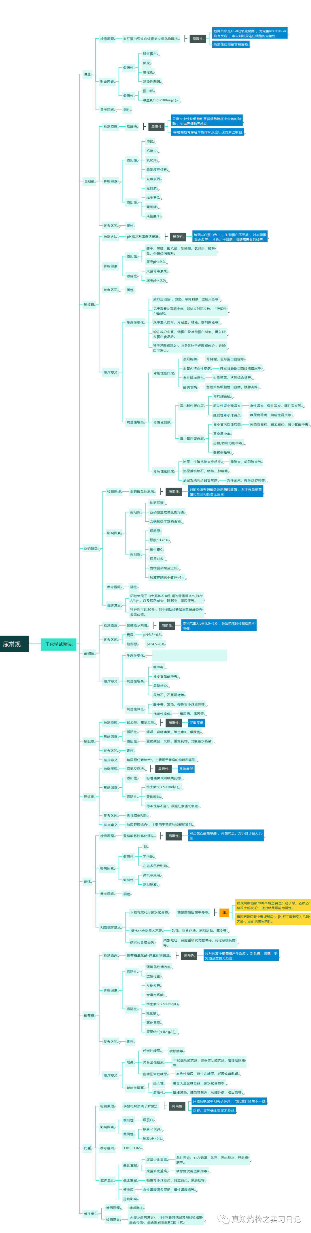 为什么要做尿液分析仪尿常规报告分析_https://www.jmylbn.com_新闻资讯_第6张