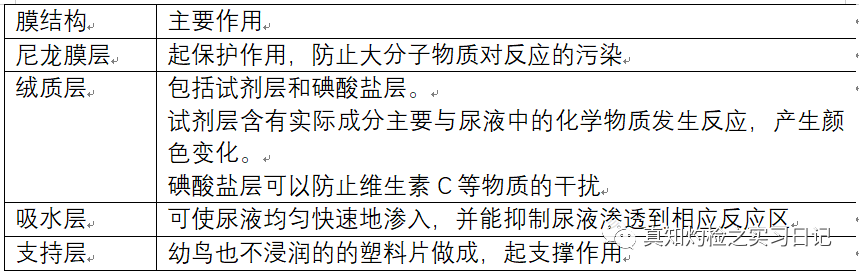 为什么要做尿液分析仪尿常规报告分析_https://www.jmylbn.com_新闻资讯_第3张