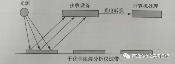为什么要做尿液分析仪尿常规报告分析_https://www.jmylbn.com_新闻资讯_第4张