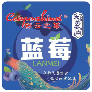 彩云之莓彩云之莓蓝莓标识