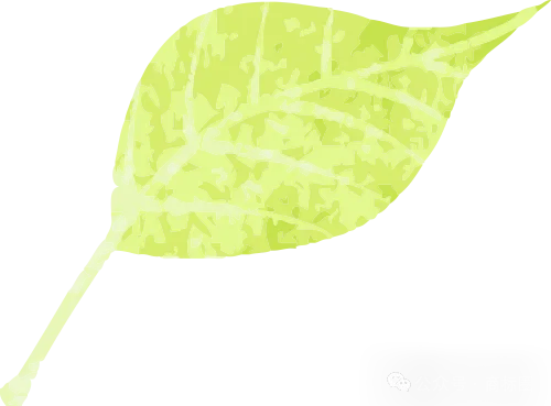 蜜雪冰城胖东来