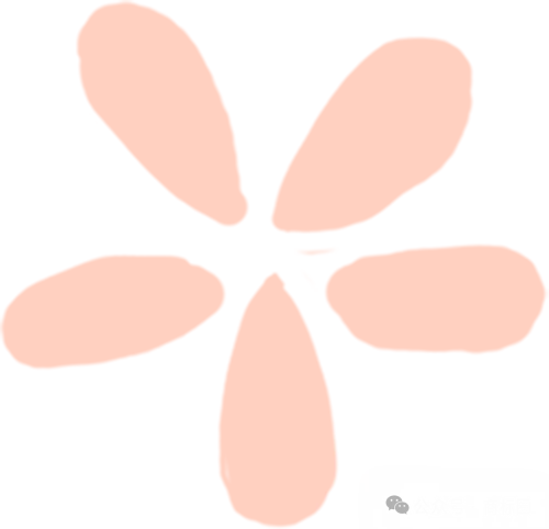 蜜雪冰城胖东来