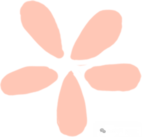 蜜雪冰城胖东来