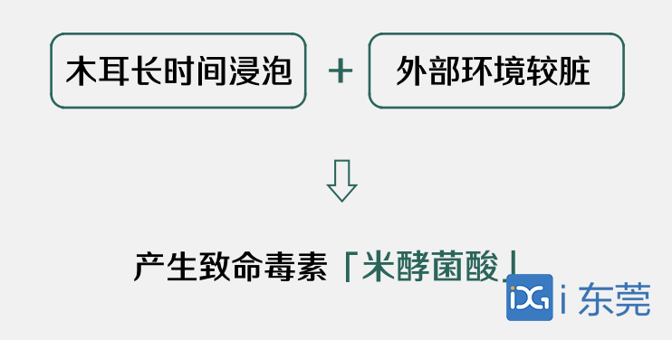 女子吃這個後中毒，搶救無效身亡！這樣的木耳千萬別吃 健康 第3張