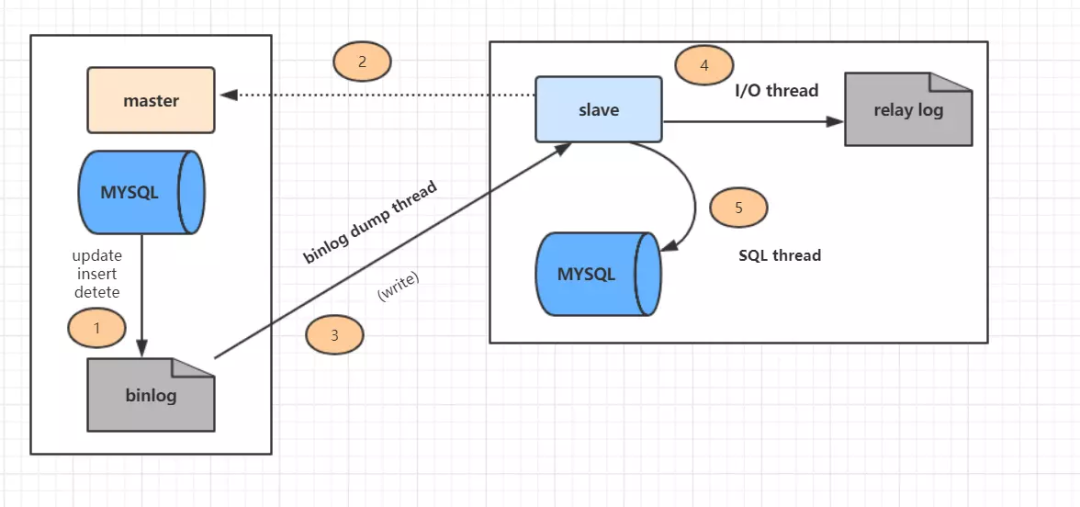 mysql 编码_mysql 存储过程 参数 编码_mysql数据库编码