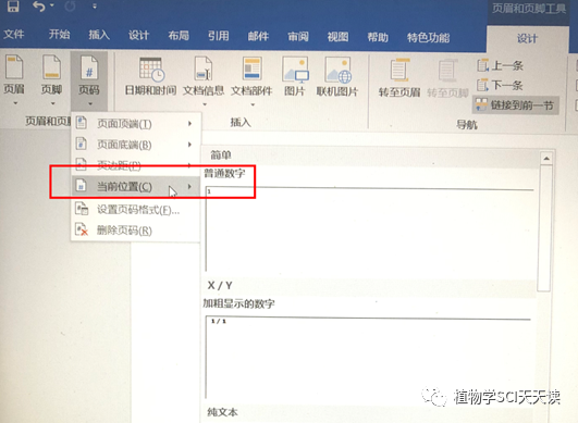 论文怎么设置页码从正文开始_word2007 论文页码设置_毕业论文页码设置(罗马数字+阿拉伯数字)