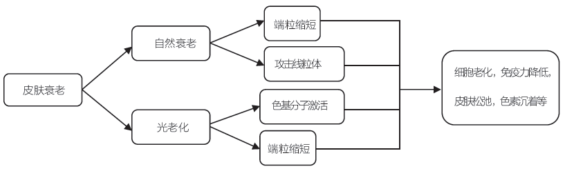 化妆品与健康的书籍_化妆美容的书籍_关于化妆的整体造型的书籍
