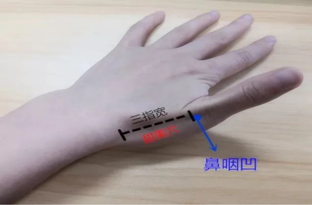 这些穴位助您宣肺平喘 生津止咳4