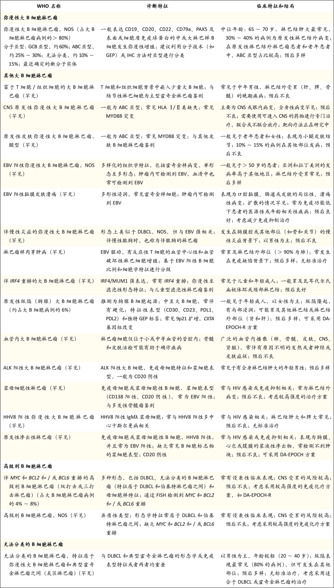 根据世界卫生组织（WHO）分类法，大B细胞淋巴瘤的病理和临床特征