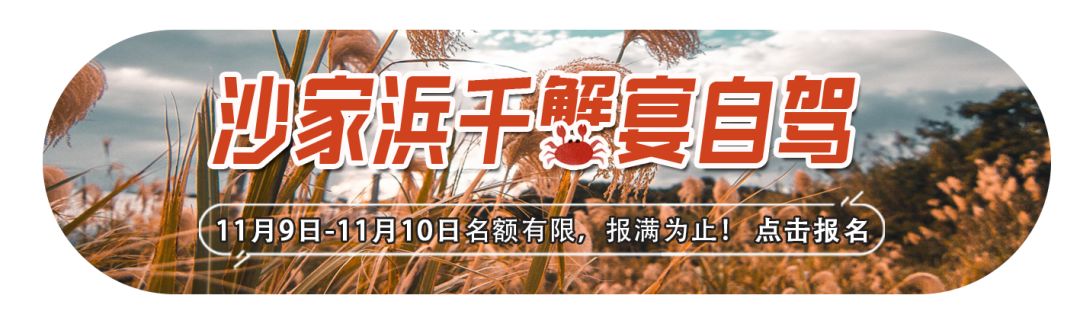 图片[8]-双11前两起骗局曝光，有人差点损失几百万！-首码网-网上创业赚钱首码项目发布推广平台