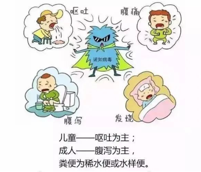 但儿童患者以呕吐为主,成人则腹泻居多.