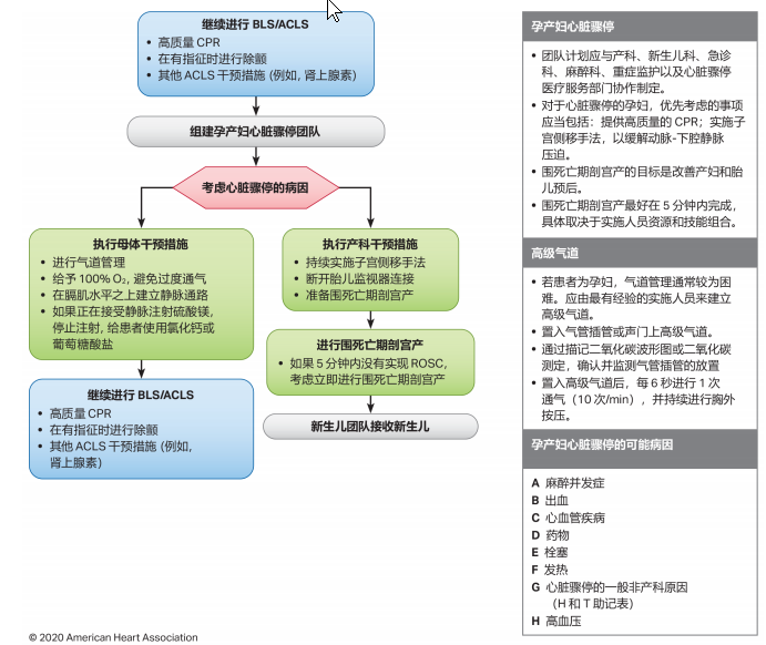 cpr按压板怎么放置关于心肺复苏需要掌握的知识点汇总_https://www.jmylbn.com_新闻资讯_第41张
