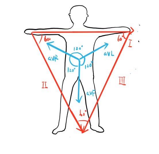 心电图怎么切换导联心电图基础思维方法论，看完的都收藏了_https://www.jmylbn.com_新闻资讯_第5张
