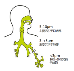 为什么超声雾化器雾量少雾化吸入的这些问题，是否让你“一头雾水”？_https://www.jmylbn.com_新闻资讯_第4张