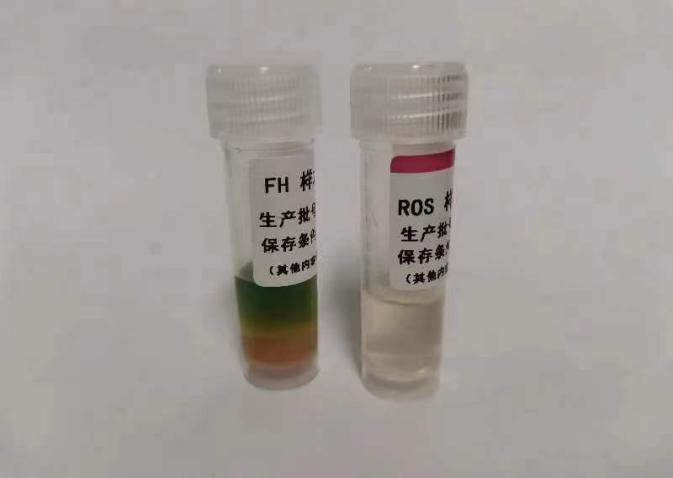 fh染色是什么意思【高质量发展】癌症早期如何筛查，这项新技术又快又准，快来了解_https://www.jmylbn.com_新闻资讯_第12张