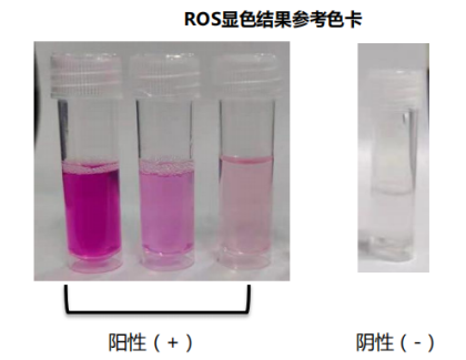 fh染色是什么意思【高质量发展】癌症早期如何筛查，这项新技术又快又准，快来了解_https://www.jmylbn.com_新闻资讯_第10张