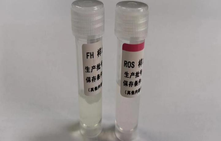 fh染色是什么意思【高质量发展】癌症早期如何筛查，这项新技术又快又准，快来了解_https://www.jmylbn.com_新闻资讯_第13张